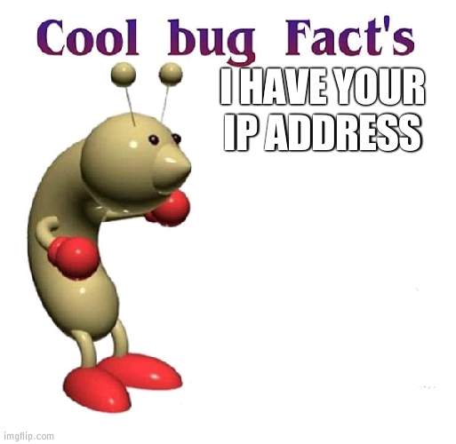 wow! that sure was a cool bug fact's | I HAVE YOUR IP ADDRESS | image tagged in cool bug facts | made w/ Imgflip meme maker