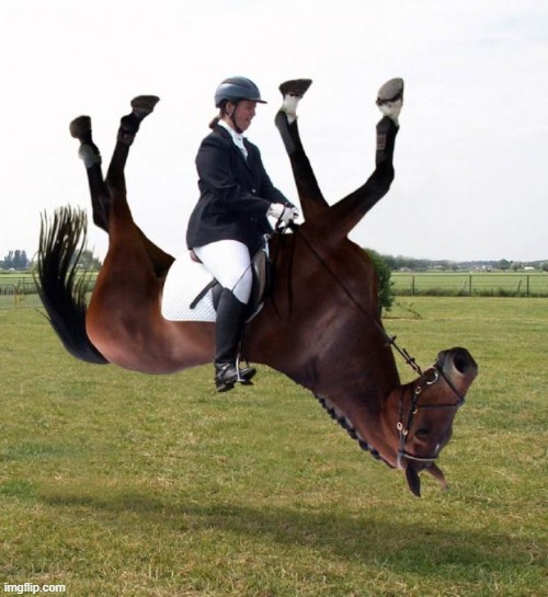 Horse upside down | image tagged in horse upside down | made w/ Imgflip meme maker