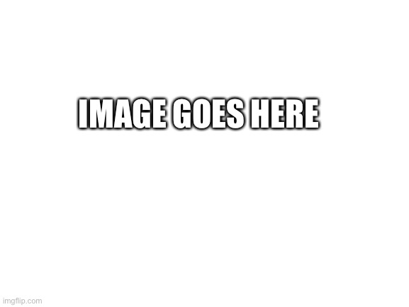 Title goes here | IMAGE GOES HERE | image tagged in blank white template | made w/ Imgflip meme maker