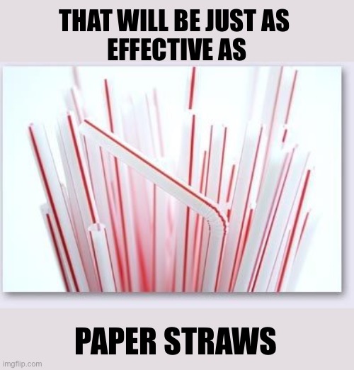 Straws | THAT WILL BE JUST AS 
EFFECTIVE AS PAPER STRAWS | image tagged in straws | made w/ Imgflip meme maker