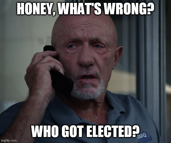 HONEY, WHAT'S WRONG? WHO GOT ELECTED? | image tagged in memes | made w/ Imgflip meme maker