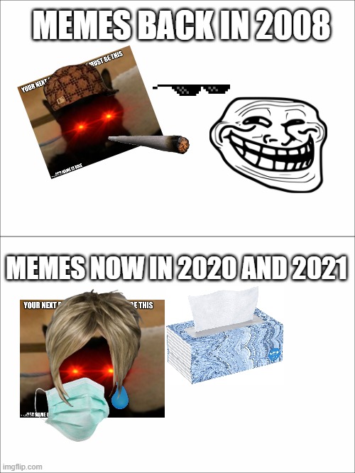 Memes in 2008 vs 2021 |  MEMES BACK IN 2008; MEMES NOW IN 2020 AND 2021 | image tagged in angry cat,thug life,nani,coronavirus,karen,memes | made w/ Imgflip meme maker