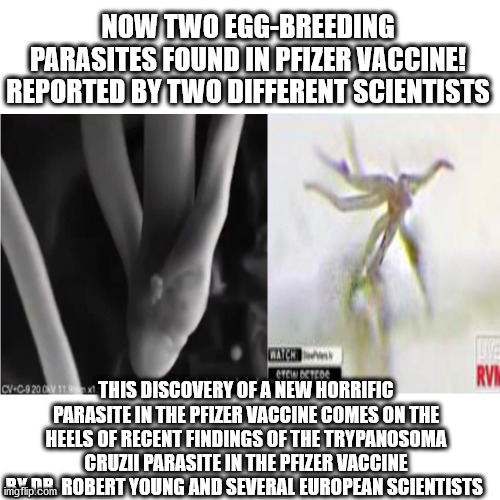 “This World Is Almost Already Lost” - Dr. Franc Zalewski | NOW TWO EGG-BREEDING PARASITES FOUND IN PFIZER VACCINE! REPORTED BY TWO DIFFERENT SCIENTISTS; THIS DISCOVERY OF A NEW HORRIFIC PARASITE IN THE PFIZER VACCINE COMES ON THE HEELS OF RECENT FINDINGS OF THE TRYPANOSOMA CRUZII PARASITE IN THE PFIZER VACCINE BY DR. ROBERT YOUNG AND SEVERAL EUROPEAN SCIENTISTS | image tagged in vaccine,vaccines,covid,covid19,biden | made w/ Imgflip meme maker