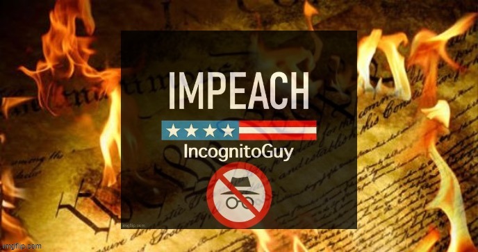 Impeach IncognitoGuy burning constitution | image tagged in impeach incognitoguy burning constitution | made w/ Imgflip meme maker