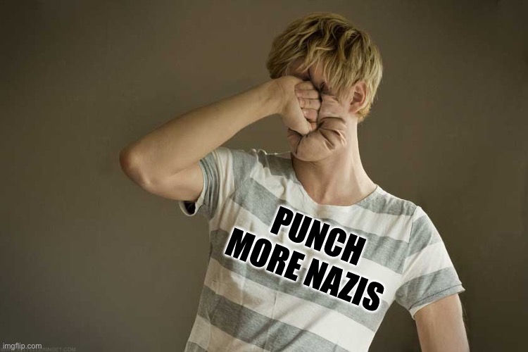 Punching Yourself In The Face | PUNCH MORE NAZIS | image tagged in punching yourself in the face | made w/ Imgflip meme maker