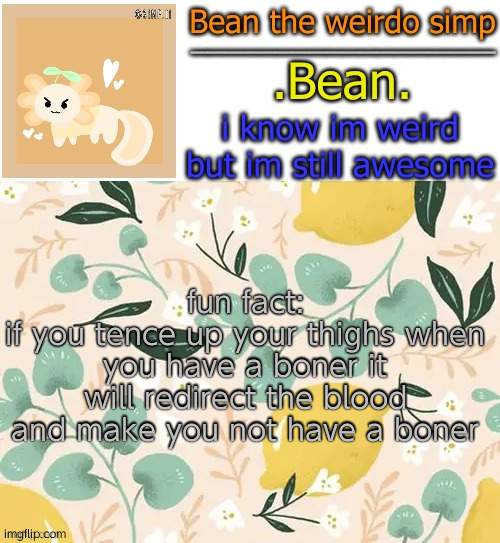 majic | fun fact:
if you tence up your thighs when you have a boner it will redirect the blood and make you not have a boner | image tagged in beans lemon temp | made w/ Imgflip meme maker