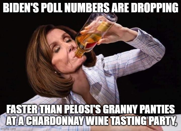 Biden's Poll Numbers | BIDEN'S POLL NUMBERS ARE DROPPING; FASTER THAN PELOSI'S GRANNY PANTIES
 AT A CHARDONNAY WINE TASTING PARTY, | image tagged in nancy pelosi drunk,biden,poll,numbers,dropping | made w/ Imgflip meme maker