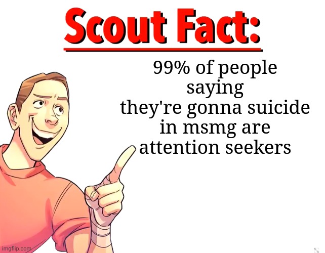 People that actually suicide in msmg never say they're gonna commit | 99% of people saying they're gonna suicide in msmg are attention seekers | image tagged in scout fact | made w/ Imgflip meme maker