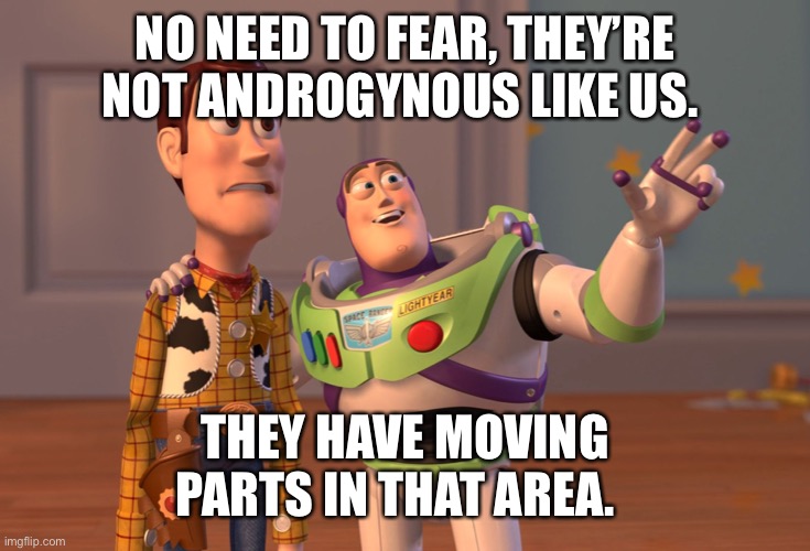 X, X Everywhere Meme | NO NEED TO FEAR, THEY’RE NOT ANDROGYNOUS LIKE US. THEY HAVE MOVING PARTS IN THAT AREA. | image tagged in memes,x x everywhere | made w/ Imgflip meme maker