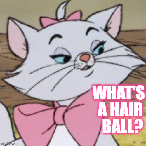 WHAT'S A HAIR BALL? | made w/ Imgflip meme maker