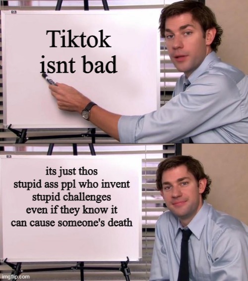 Tell me I'm not wrong. | Tiktok isnt bad; its just thos stupid ass ppl who invent stupid challenges even if they know it can cause someone's death | image tagged in jim halpert explains | made w/ Imgflip meme maker