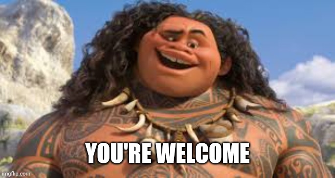 Your welcome | YOU'RE WELCOME | image tagged in your welcome | made w/ Imgflip meme maker