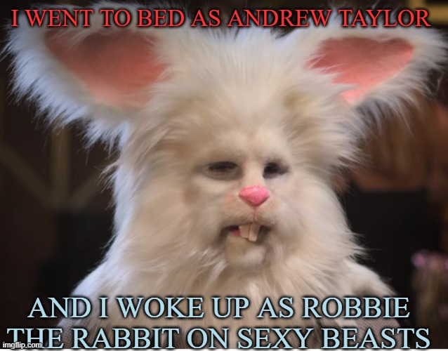 Robbie Rabbit | I WENT TO BED AS ANDREW TAYLOR; AND I WOKE UP AS ROBBIE THE RABBIT ON SEXY BEASTS | image tagged in andrew taylor | made w/ Imgflip meme maker