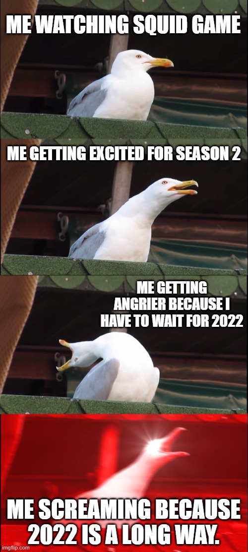 Me waiting for squid game season 2 | ME WATCHING SQUID GAME; ME GETTING EXCITED FOR SEASON 2; ME GETTING ANGRIER BECAUSE I HAVE TO WAIT FOR 2022; ME SCREAMING BECAUSE 2022 IS A LONG WAY. | image tagged in memes,inhaling seagull | made w/ Imgflip meme maker