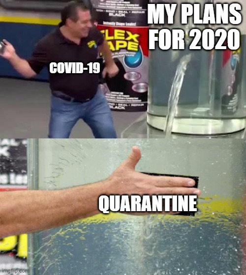 Aren't we all? | MY PLANS FOR 2020; COVID-19; QUARANTINE | image tagged in flex tape | made w/ Imgflip meme maker