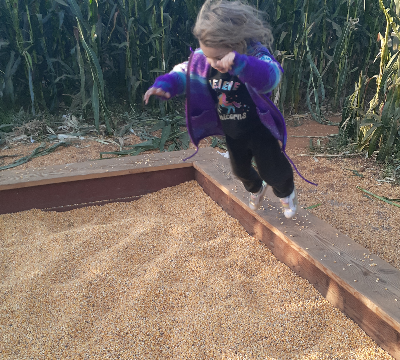 jumping into a corn pit Blank Meme Template