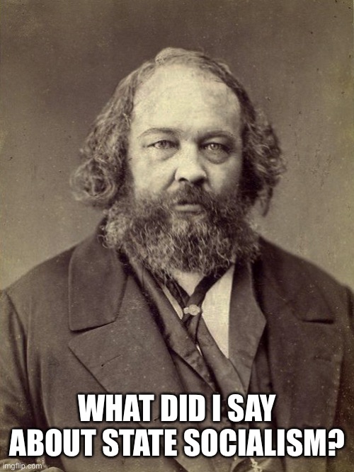 Bakunin | WHAT DID I SAY ABOUT STATE SOCIALISM? | image tagged in bakunin | made w/ Imgflip meme maker