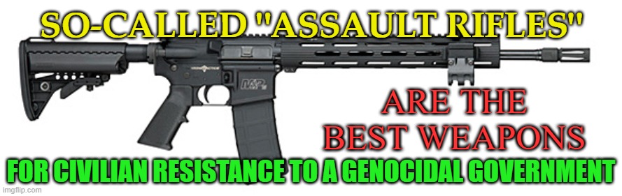 "Assault rifles" are the best weapons for civilian resistance to a genocidal government. | ARE THE BEST WEAPONS; SO-CALLED "ASSAULT RIFLES"; FOR CIVILIAN RESISTANCE TO A GENOCIDAL GOVERNMENT | image tagged in s w assault rifle | made w/ Imgflip meme maker