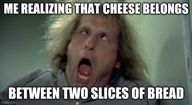 Me Realizing That... | ME REALIZING THAT CHEESE BELONGS; BETWEEN TWO SLICES OF BREAD | image tagged in memes,scary harry,dumb piece of shet | made w/ Imgflip meme maker