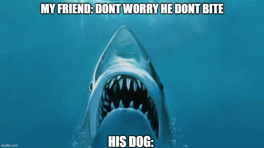 That one friend's dog | MY FRIEND: DONT WORRY HE DONT BITE; HIS DOG: | image tagged in does your dog bite | made w/ Imgflip meme maker