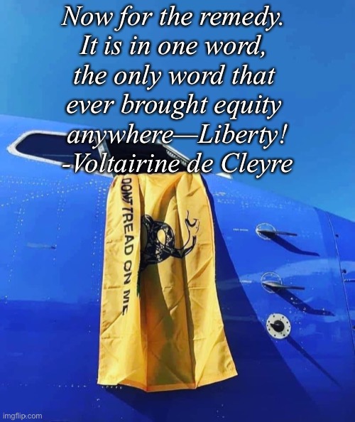 Now for the remedy. 
It is in one word, 
the only word that 
ever brought equity 
anywhere—Liberty!
-Voltairine de Cleyre | made w/ Imgflip meme maker