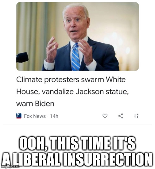 Conservatives didn't go after the White House!  Let's never let them forget this day! | OOH, THIS TIME IT'S A LIBERAL INSURRECTION | image tagged in insurrection | made w/ Imgflip meme maker