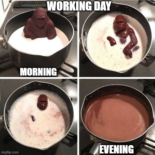 chocolate gorilla | WORKING DAY; MORNING; EVENING | image tagged in chocolate gorilla | made w/ Imgflip meme maker