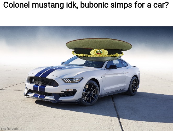 2015 Ford Mustang GT350 | Colonel mustang idk, bubonic simps for a car? | image tagged in 2015 ford mustang gt350 | made w/ Imgflip meme maker