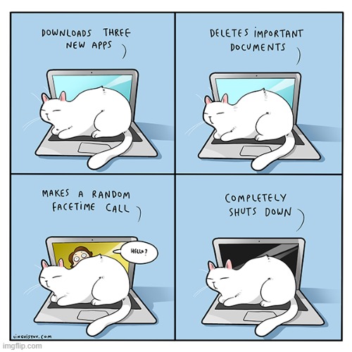 A Cat's Way Oh Thinking | image tagged in memes,comics,cats,computer,lays,what could go wrong | made w/ Imgflip meme maker