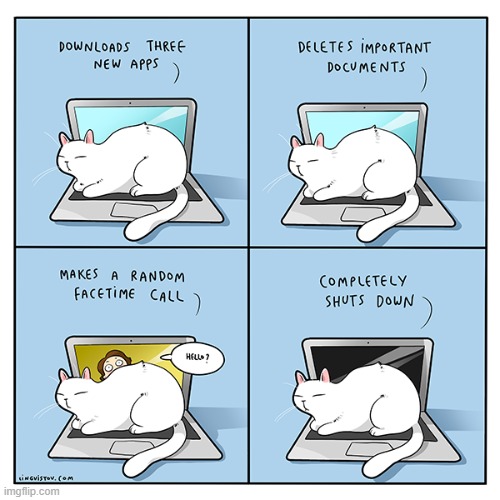 thinking cat Blank Template - Imgflip