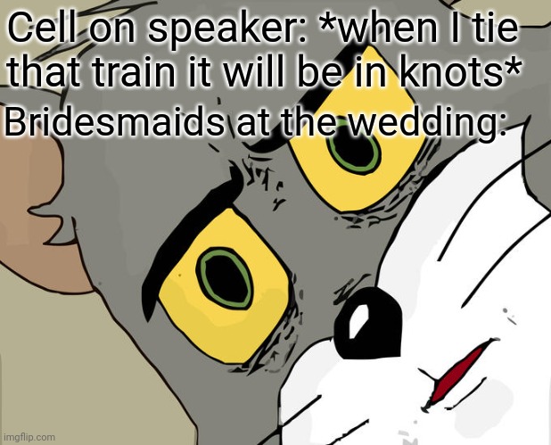It's a funny thought of a husband calling his wife about being late for a wedding & bridesmaids think he is talking about dress | Cell on speaker: *when I tie 
that train it will be in knots*; Bridesmaids at the wedding: | image tagged in memes,unsettled tom,wedding dress,miscommunication,train pun | made w/ Imgflip meme maker
