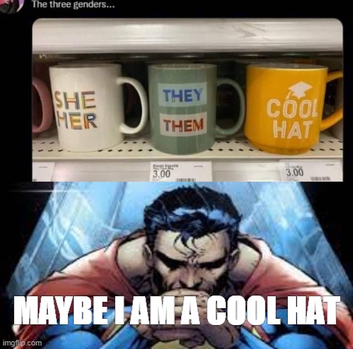 cool hat | MAYBE I AM A COOL HAT | image tagged in dc comics | made w/ Imgflip meme maker