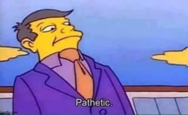 skinner pathetic | image tagged in skinner pathetic | made w/ Imgflip meme maker