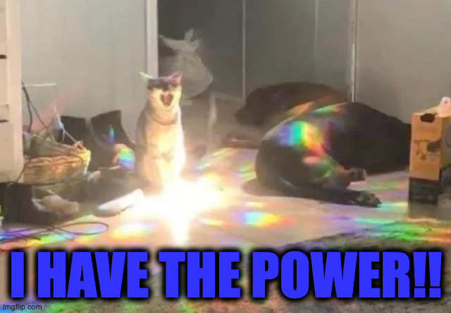 I HAVE THE POWER!! | image tagged in cat,power | made w/ Imgflip meme maker