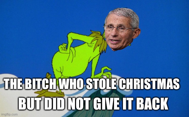 Grinch  | BUT DID NOT GIVE IT BACK THE BITCH WHO STOLE CHRISTMAS | image tagged in grinch | made w/ Imgflip meme maker