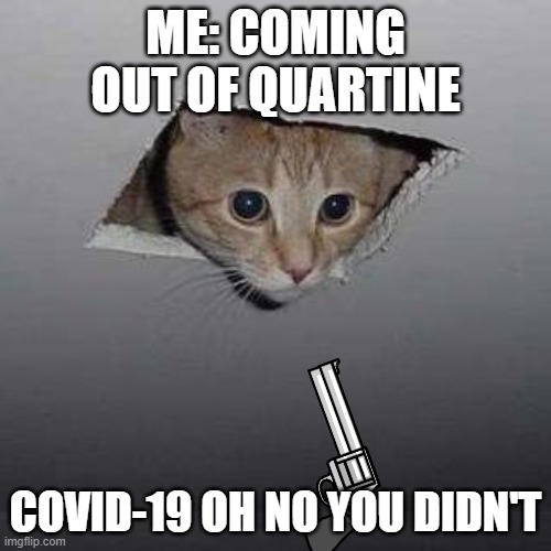 Ceiling Cat Meme | ME: COMING OUT OF QUARTINE; COVID-19 OH NO YOU DIDN'T | image tagged in memes,ceiling cat | made w/ Imgflip meme maker