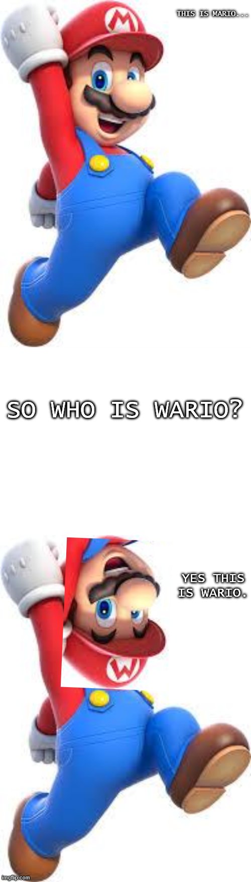 the real Wario | THIS IS MARIO... SO WHO IS WARIO? YES THIS IS WARIO. | image tagged in mario,blank white template | made w/ Imgflip meme maker