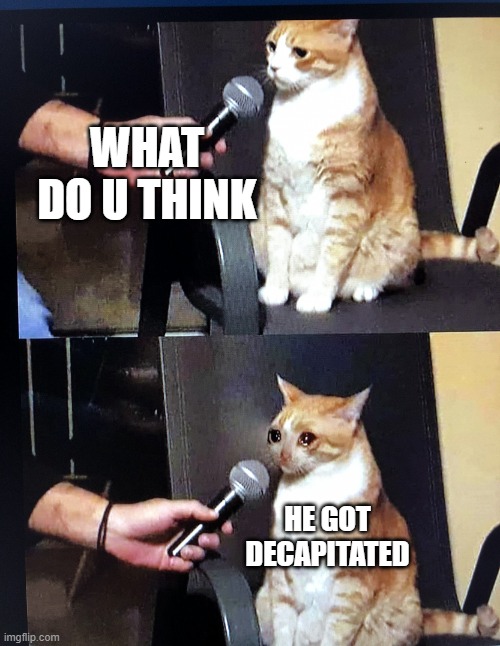 Cat interview crying | WHAT DO U THINK HE GOT DECAPITATED | image tagged in cat interview crying | made w/ Imgflip meme maker