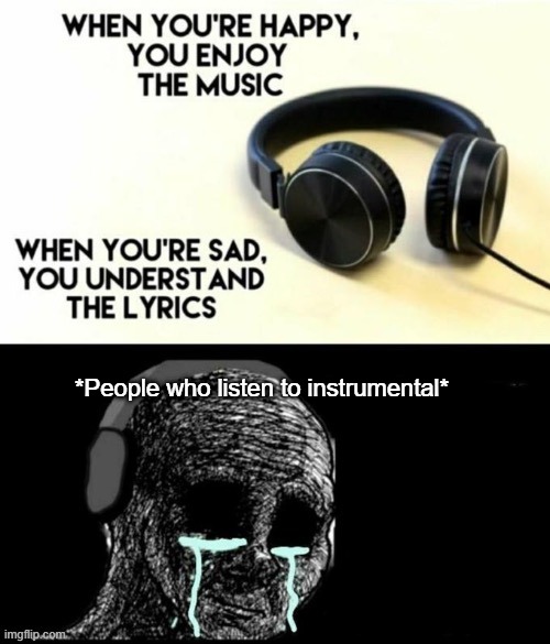 Those lyrics made me cry | *People who listen to instrumental* | image tagged in when your sad you understand the lyrics | made w/ Imgflip meme maker
