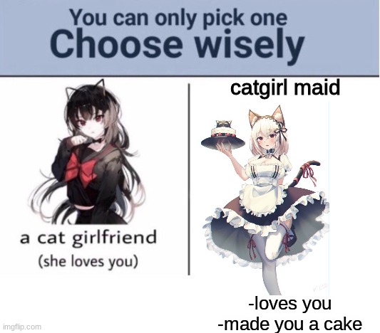 Choose wisely | catgirl maid; -loves you
-made you a cake | image tagged in choose wisely | made w/ Imgflip meme maker