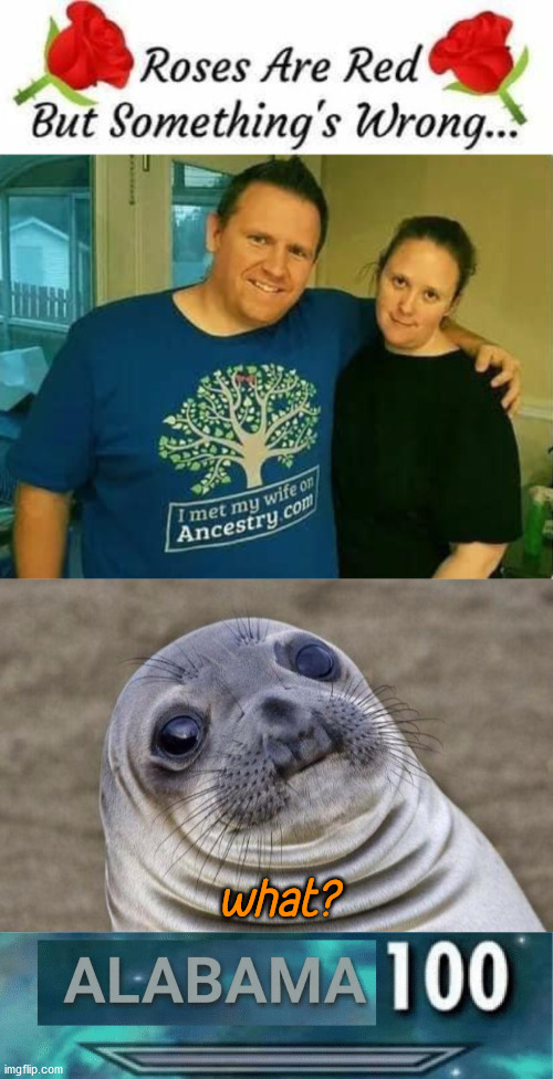 what? | image tagged in memes,awkward moment sealion,alabama 100 | made w/ Imgflip meme maker