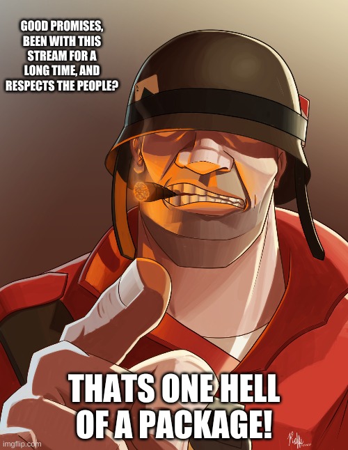 vote red_soilder for HOC! | GOOD PROMISES, BEEN WITH THIS STREAM FOR A LONG TIME, AND RESPECTS THE PEOPLE? THATS ONE HELL OF A PACKAGE! | made w/ Imgflip meme maker
