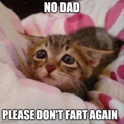 Sad Kitty Sick In Bed | NO DAD; PLEASE DON'T FART AGAIN | image tagged in sad kitty sick in bed | made w/ Imgflip meme maker