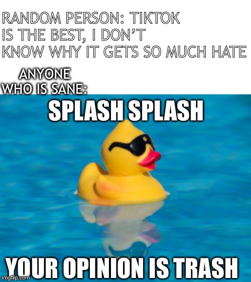 Splash splash | RANDOM PERSON: TIKTOK IS THE BEST, I DON’T KNOW WHY IT GETS SO MUCH HATE; ANYONE WHO IS SANE:; SPLASH SPLASH; YOUR OPINION IS TRASH | image tagged in splash splash | made w/ Imgflip meme maker
