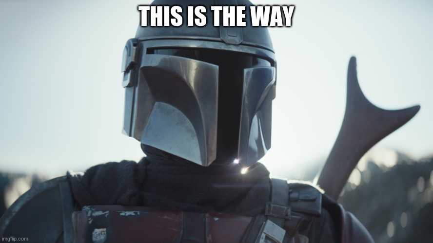 This is the way | THIS IS THE WAY | image tagged in this is the way | made w/ Imgflip meme maker