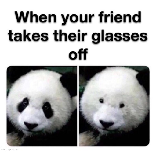 True | image tagged in panda,glasses | made w/ Imgflip meme maker