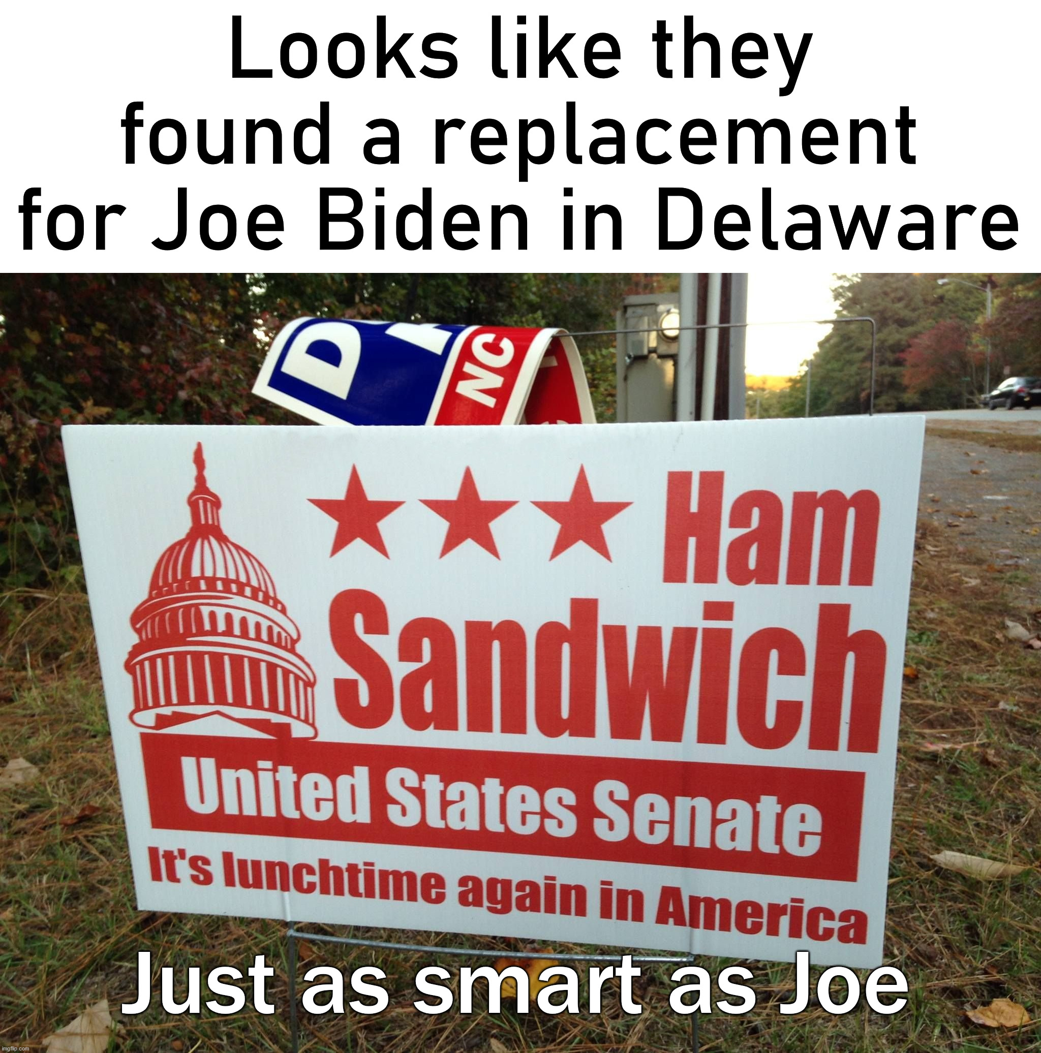 Looks like they found a replacement for Joe Biden in Delaware; Just as smart as Joe | image tagged in political meme | made w/ Imgflip meme maker