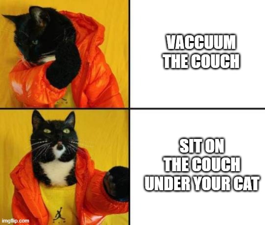 Listen to the cat | VACCUUM THE COUCH; SIT ON THE COUCH UNDER YOUR CAT | image tagged in drake meme black cat | made w/ Imgflip meme maker