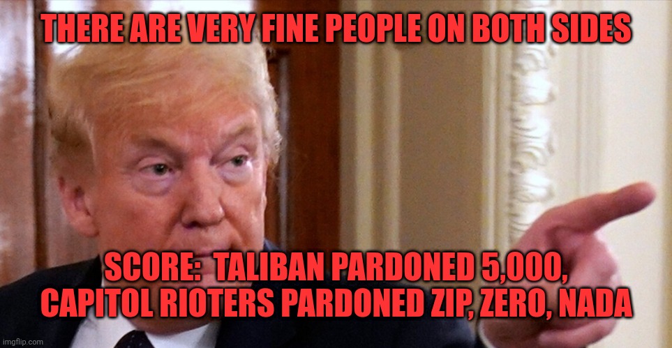 Making America Great Again | THERE ARE VERY FINE PEOPLE ON BOTH SIDES; SCORE:  TALIBAN PARDONED 5,000, CAPITOL RIOTERS PARDONED ZIP, ZERO, NADA | image tagged in trump pointing | made w/ Imgflip meme maker
