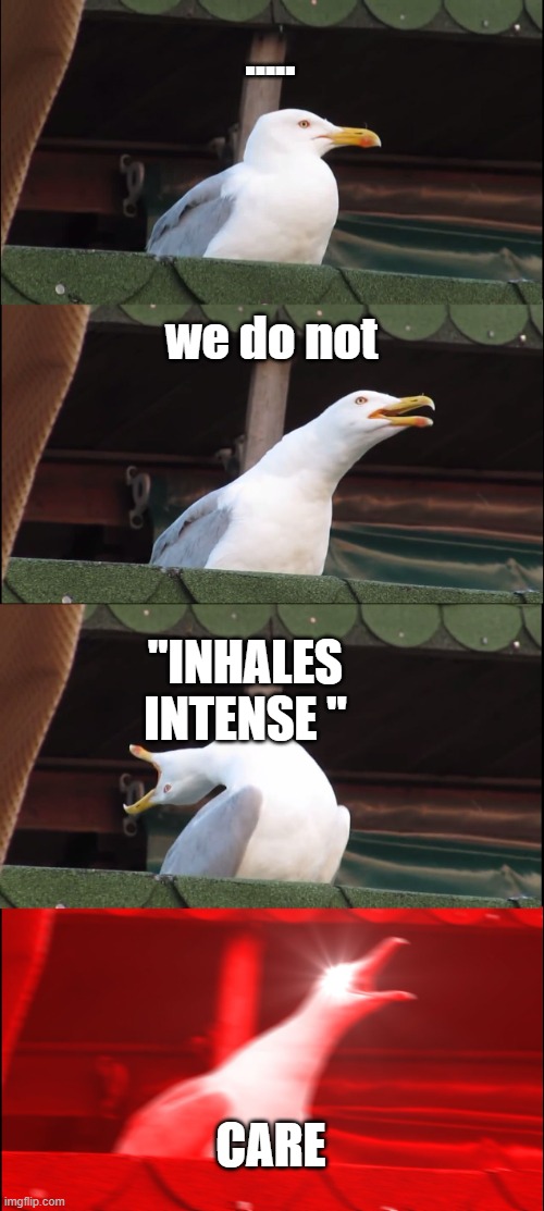 ..... we do not "INHALES INTENSE " CARE | image tagged in memes,inhaling seagull | made w/ Imgflip meme maker